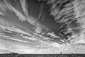 Le cycliste