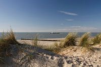 De Vlissingse kust