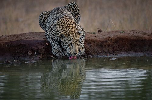 I am watching you! 2