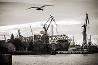 Port de Hambourg (noir et blanc) par Alexander Voss Aperçu