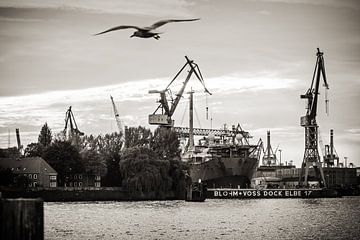 Hamburger Hafen (Schwarzweiss) von Alexander Voss
