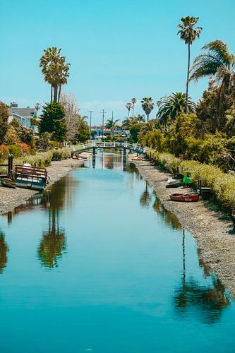 El Venice in Santa Monica