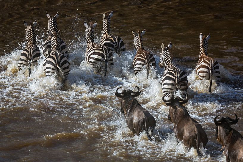 Zebra Crossing van Marijn Heuts