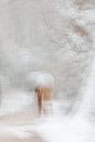 Winter von Ingrid Van Damme fotografie Miniaturansicht