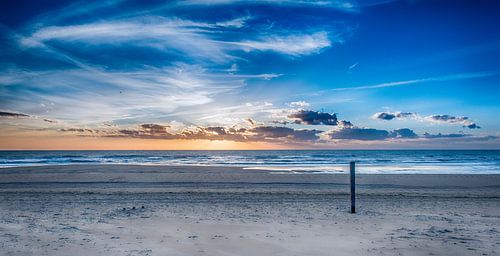 Voorjaar op het Hollandse Strand