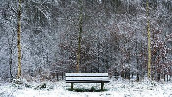 Lieu de repos hivernal