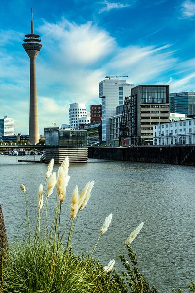 Düsseldorf Mediahaven met Rijntoren van Dieter Walther