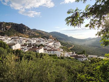 Weißes Dorf in den spanischen Hügeln, inmitten von Olivenhainen von Arjen Tjallema