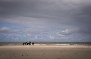 Cavaliers sur la plage d'Ameland
