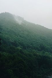 Ardennen-Nebel