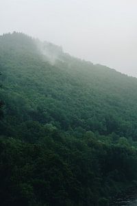 Ardennen-Nebel von Andy Troy