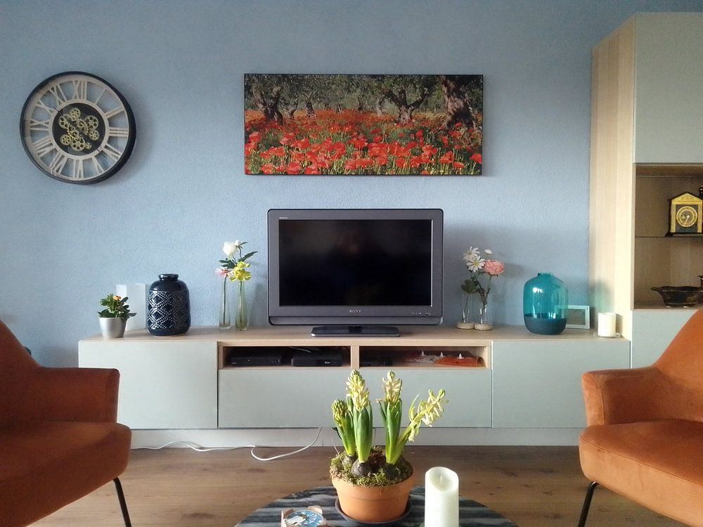 Mohnblumen unter Olivenbäumen im Panorama von iPics Photography