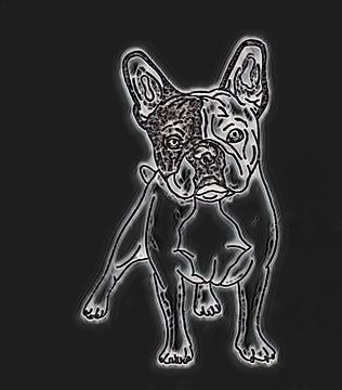 Bulldog ( tekening )