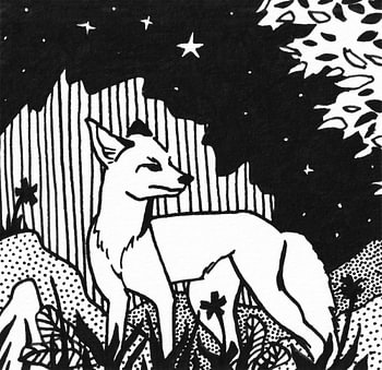 Fuchs im Wald