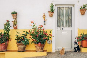 Katten in Elvas, Alentejo in Portugal van Karlijn Meulman