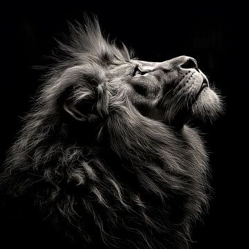 dramatic black and white portrait photo rendering of the head of a male lion