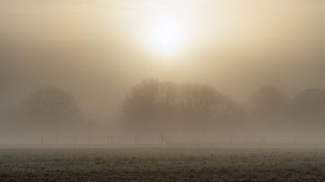 Zonsopkomst door de mist. 16x9 verhouding van zeilstrafotografie.nl
