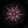 Kosmische Blume von Karin van Bylevelt