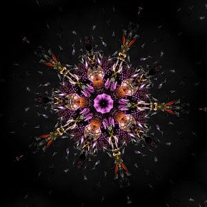Kosmische Blume