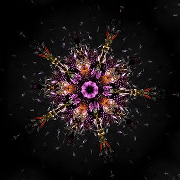 Kosmische Blume von Karin van Bylevelt