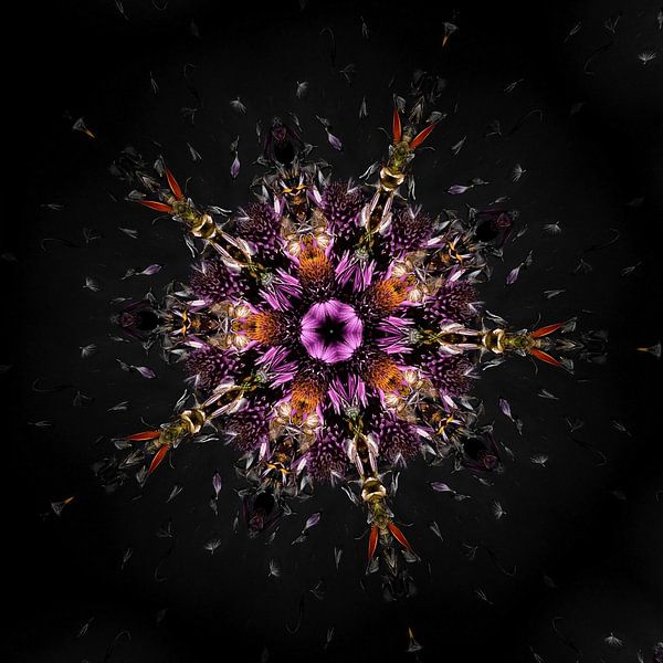 Kosmische Blume von Karin van Bylevelt