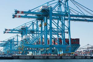 Entladen eines Containerschiffs im Hafen von Rotterdam