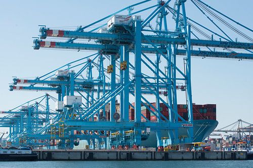 Entladen eines Containerschiffs im Hafen von Rotterdam