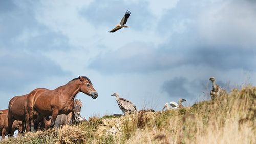 L'équilibre entre le ciel et la terre