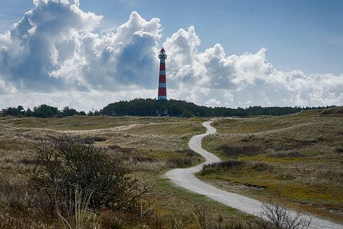 Ameland vuurtoren vanaf de duinen