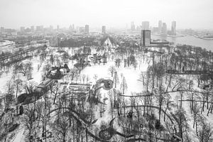 Winter im Park von Euromast in Rotterdam von MS Fotografie | Marc van der Stelt