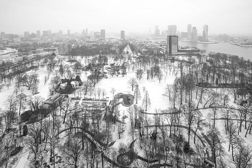 Winter in Het Euromastpark in Rotterdam