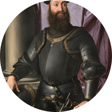 Portret van Stefano IV Colonna, Bronzino