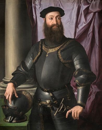 Portret van Stefano IV Colonna, Bronzino