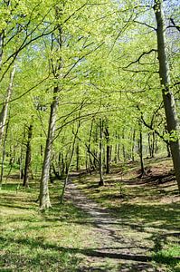 Frühling am Hochufer bei Lietzow