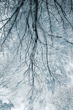 Schneebedeckte Äste: Doppelbelichtung von Klaartje Majoor