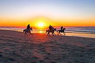 Reiten am Strand bei Sonnenuntergang an der Nordseeküste von Eye on You Miniaturansicht