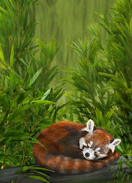 Le panda rouge de Styan, Ailurus styani par Urft Valley Art