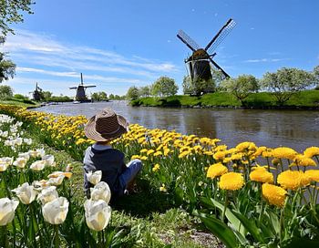 A boy on a field in bloom in spring