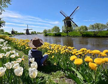 A boy on a field in bloom in spring by Claude Laprise