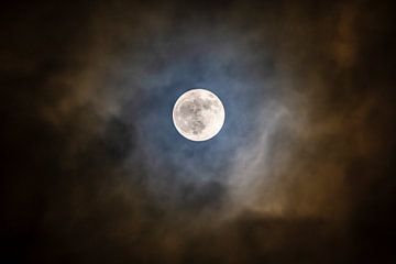 Lune sur Jaap Tempelman