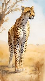 Cheetah by DeVerviersBelgium