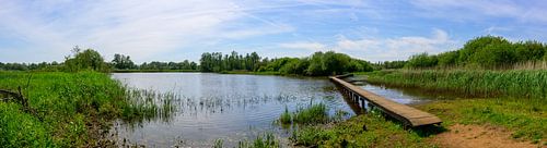 Panorama: Het Vlonderpad van Rijkevorsel