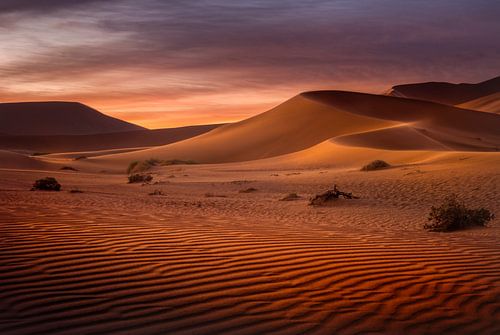 Sunrise in the desert