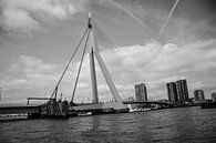 Rotterdam Erasmusbrug van Kas Den Elzen  thumbnail