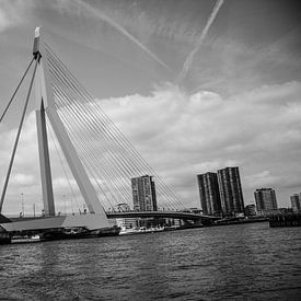 Rotterdam Erasmusbrug by Kas Den Elzen
