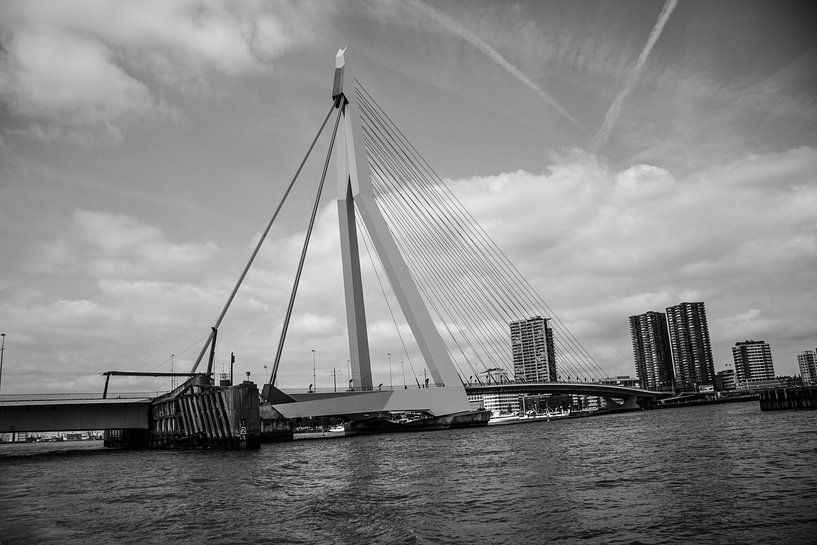 Rotterdam Erasmusbrug von Kas Den Elzen 