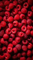 Fresh Ripe Raspberries