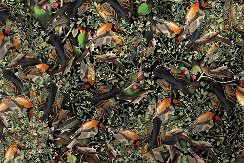 Es ist ein Dschungel da draußen